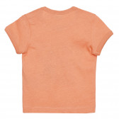 Tricou din bumbac CĂTRE PRIETENII KOALA pentru bebeluș, portocaliu Chicco 266441 4