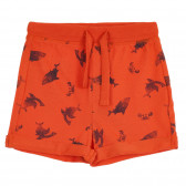 Pantaloni scurți din bumbac cu imprimeu rechin, portocaliu Benetton 266641 