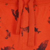 Pantaloni scurți din bumbac cu imprimeu rechin, portocaliu Benetton 266642 2