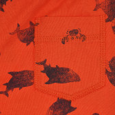 Pantaloni scurți din bumbac cu imprimeu rechin, portocaliu Benetton 266643 3