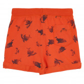 Pantaloni scurți din bumbac cu imprimeu rechin, portocaliu Benetton 266644 4