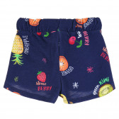 Pantaloni scurți din bumbac pentru fete, bleumarin, cu imprimeu de vară Benetton 266772 4