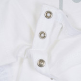 Tricou din bumbac cu inscripția Dulce pentru bebeluș, alb Benetton 268078 3
