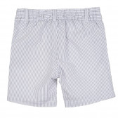 Pantaloni scurți din bumbac în dungi gri și albe pentru bebeluși Benetton 268097 4
