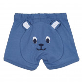 Pantaloni scurți cu aplicație pentru ursuleți, albaștri Benetton 268191 3
