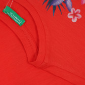 Tricou din bumbac cu imprimeu floral pentru bebeluș, roșu Benetton 268556 3