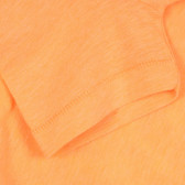 Tricou cu imprimeu palmier, portocaliu Benetton 268584 3