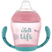 Pahar de polipropilenă fără vărsare, Sea Life 230 ml., 9+ luni, roz Canpol 268790 7