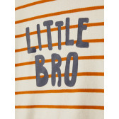 Bluză cu mâneci lungi din bumbac organic Little Bro, multicolor Name it 272848 3