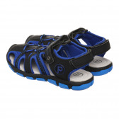 Sandale cu șireturi elastice în albastru și negru Cool club 273271 2