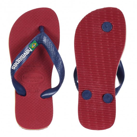Flip-flops cu numele mărcii și detalii albastre, roșu Havaianas 276041 3