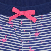 Pantaloni scurți Cool Club în dungi albe și albastre, cu imprimeu flamingo Cool club 280043 2