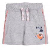 Pantaloni scurți Cool Club din bumbac de culoare gri, cu detalii portocalii și imprimeu Cool club 280167 