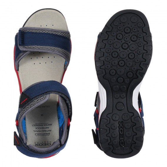 Sandale în albastru și roșu cu accente gri Geox 284303 3