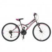 Bicicletă pentru copii mărimea 24, gri Venera Bike 296072 6