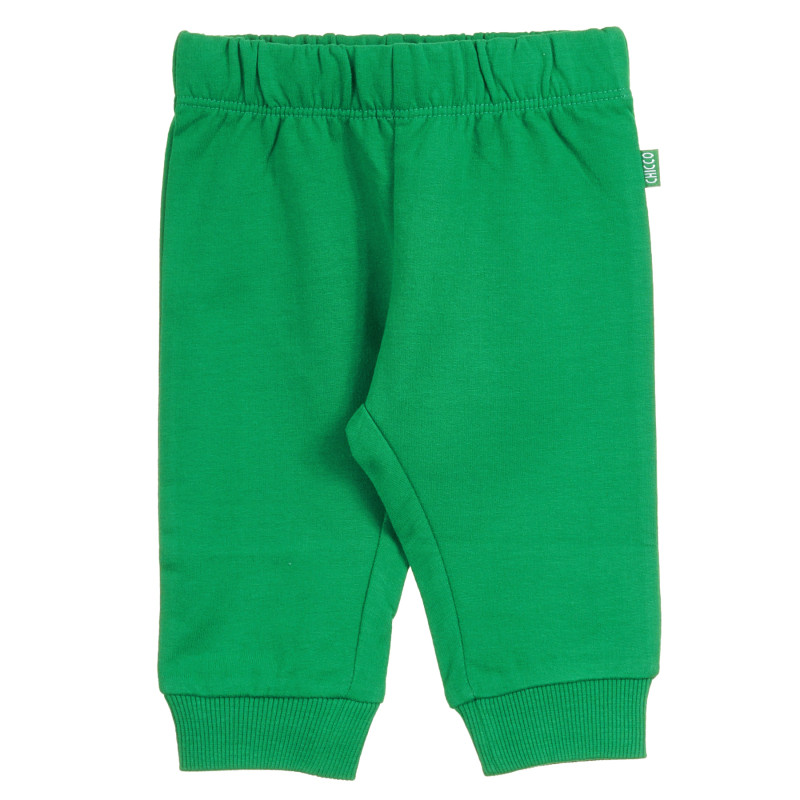 Pantaloni unisex de culoare verde, cu bandă elastică  296112