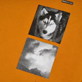 Bluză cu mâneci lungi din bumbac organic, în portocaliu Name it 296224 2