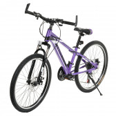 Bicicletă pentru copii Brooklin 24'', violet ZIZITO 315604 