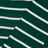 Bluză din bumbac cu mâneci lungi în dungi verzi și albe pentru bebeluși ZY 317098 2