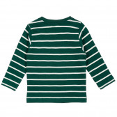 Bluză din bumbac cu mâneci lungi în dungi verzi și albe pentru bebeluși ZY 317099 3