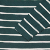 Bluză din bumbac cu mâneci lungi în dungi verzi și albe pentru bebeluși ZY 318432 5