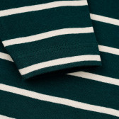 Bluză din bumbac cu mâneci lungi în dungi verzi și albe pentru bebeluși ZY 319638 9