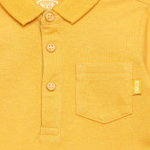 Bluza Chicco portocalie din bumbac, cu guler Chicco 326366 2