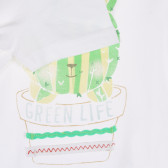 Tricou cu imprimeu cactus pentru fetițe, alb Benetton 333415 3