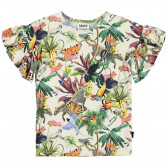 Bluză multicoloră cu mâneci scurte, cu volane și imprimeu animal Molo 334533 