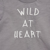 Tricou din bumbac Wild at Heart, pentru bebeluș, gri Idexe 334606 2