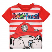 Pijamale Patrula Cățelușilor din bumbac, roșii Paw patrol 334821 7