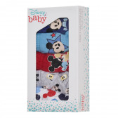 Set de cinci slipuri Mickey Mouse pentru bebeluș, multicolor Mickey Mouse 335268 14