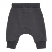 Pantaloni pentru bebeluși din bumbac, în gri. Pinokio 340520 8