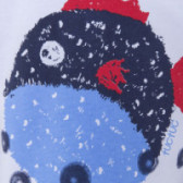Tricou din bumbac cu imaginea colorată a unui pește mic pentru băieți Tuc Tuc 34505 3