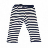 Pantaloni cu dungi pentru bebeluși Chicco 36688 2