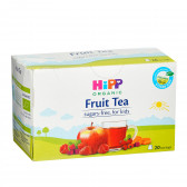 Ceai organic de fructe, cutie 0,040 kg (20 buc. X 2 g) Hipp 369357 2