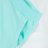 Set de tricou și pantaloni scurți din bumbac organic, alb și albastru Name it 372668 3