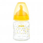 Biberon de sticlă First Choice de culoare portocalie cu tetină cu debit mediu 0-6 luni, 120 ml. NUK 372879 2