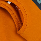 Bluză din bumbac organic cu imprimeu grafic, în portocaliu Name it 373024 3