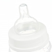 Sticlă din polipropilenă cu imprimeu de jucării și tetină din silicon 3+ luni cu flux lent pentru fetiță, 120 ml Canpol 373108 3