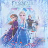 Cort pentru copii pentru jocul Frozen Kingdom cu 50 de mingi Frozen 378322 8