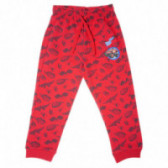 Pantaloni Chicco cu imprimeu și aplicații de flăcări și mașini, pentru băieți Chicco 38915 
