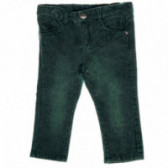 Pantaloni pentru băieți, cu efect purtat, verde închis Chicco 39054 
