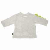 Bluză din bumbac cu mânecă lungă, cu imprimeu rupt de culoare verde pentru băieți Chicco 39250 2