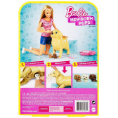 Păpușa Barbie - un set cu cățeluși Barbie 44862 3