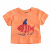 Bluză de bumbac Canada House cu mânecă scurtă și imprimeu pește pentru băieți Canada House 46144 
