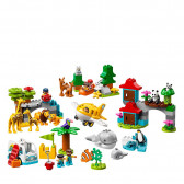 Set Constructor - Animalele din lume de animale cu 121 de piese Lego 53965 2