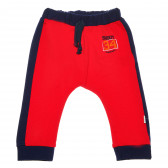 Pantaloni cu margini albastru închis și un imprimeu pentru băieți Bebetto 54597 