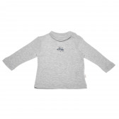 Bluză de bumbac cu mâneci lungi și un imprimeu mic pentru băieți, gri Bebetto 55097 