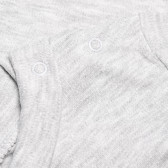 Bluză de bumbac cu mâneci lungi și un imprimeu mic pentru băieți, gri Bebetto 55100 4